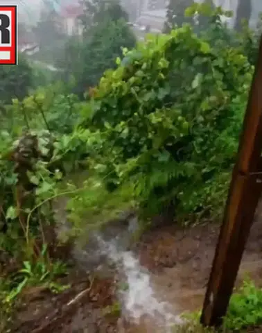 Rize’de Şiddetli Yağış Sonrası 5 İlçede 61 Farklı Noktada Heyelan Meydana Geldi
