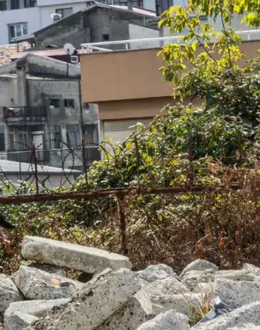 Arama Köpeklerinin Eğitim Üssü Trabzon Oldu