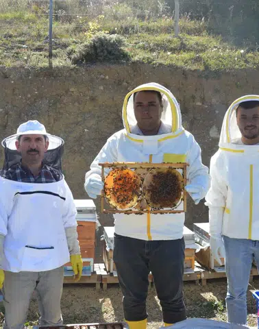Başpınar Mahallesi’nde Bal Sağım Çalışması Gerçekleştirildi