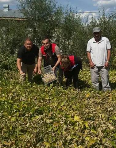 Aydıntepe Şeker Fasulyesi Tarlada Denetlendi