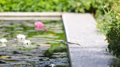 Sürdürülebilirlikte Dokuz Eylül farkı