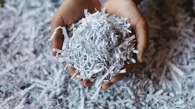 Bursa'da1433 ağaç kesilmekten kurtuldu!