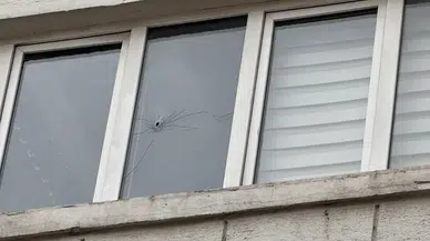 Artvin Valiliğinin camına yorgun mermi isabet etti