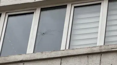 Artvin Valilik Binasına Yorgun Mermi İsabet Etti, Soruşturma Başlatıldı