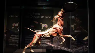 Sömestir tatilinde sıradışı deneyim