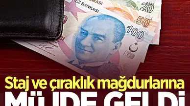 Staj ve çıraklık sigortası mağdurlarına müjde! Canlı yayında açıkladı...