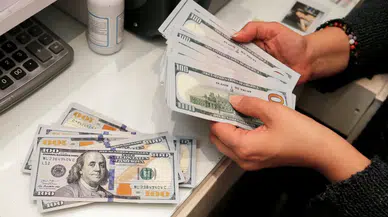 Dolar/TL 30 TL'nin üstünde!