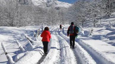 Trabzon'da doğaseverler Kadıralak Yaylası'na yürüyüş düzenledi