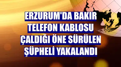 Erzurum'da Bakır Telefon Kablosu Çalan Şüpheli Gözaltına Alındı