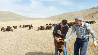 Erzurum'da Köyden Kente Göçü Önlemek İçin Proje Başladı