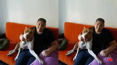 Hakan Yağar TikTok Hesabı Nedir?