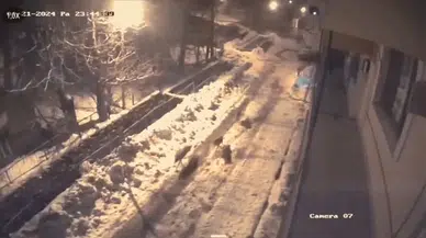 Erzurum İspir'de aç kalan kurt sürüsü mahallede yiyecek arıyor