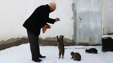 Karla kaplı mahallelere ekmek götüren fırıncı kedileri de unutmuyor