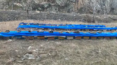 Erzurum'da prolin değeri 1058 çıkan "geven balı" tescil yolunda