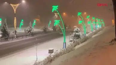 Bingöl'de Kar Yağışı ve Tipi Nedeniyle Erzurum Kara Yolu TIR Trafiğine Kapatıldı