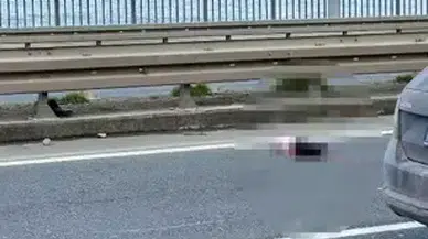 Yolun karşısına geçerken otomobil çarpan balıkçı, öldü