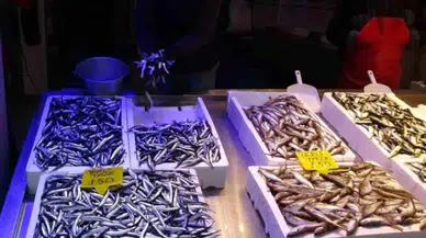 Fiyatıyla şaşırttı! Trabzon'da hamsinin kilosu 150-180 TL arasında