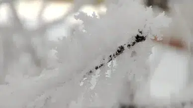 Erzurum'da Kar Yağışı ve Dondurucu Soğuklar: Şehir Buz Kesildi