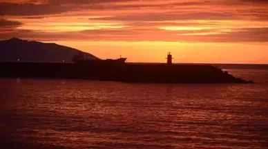 Karadeniz ısınıyor, avlanabilen balık türleri azalıyor