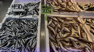 TRABZONLU VATANDAŞ BALIK FİYATLARINA TEPKİ GÖSTERDİ: "BAKMAKLA YETİNECEĞİZ HERHALDE"