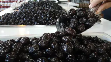 Marmarabirlik ortaklarına 5'inci dilimde yarın 36 milyon lira ödeyecek