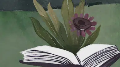 Bodrum'dan kitapseverlere müjde