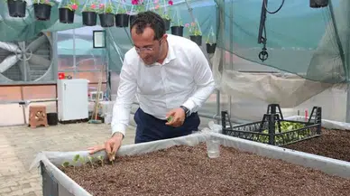 Akçaabat Belediyesi, Bitki Üretim Seralarıyla Tasarruf ve Üretime Katkı Sağlıyor