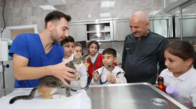 Gebze’de 2023 patili canların yılı oldu