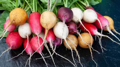 Turp nasıl tüketilmeli? Faydalarını biliyor musunuz?