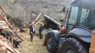 Artvin'de heyelanda ahırın çökmesi sonucu iki büyükbaş telef oldu