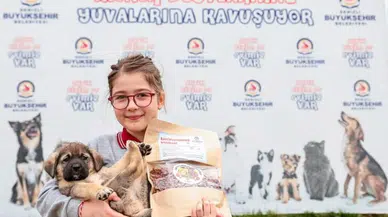 Şefkat yuvası 2023’te 28.665 can dostu ağırladı