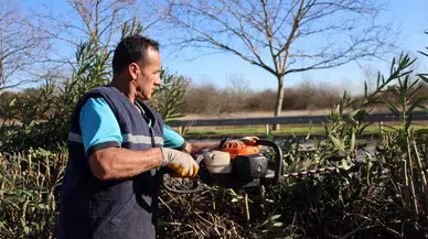 Kocaeli'de ağaçlara kış bakımı