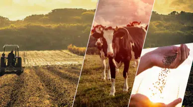 2023'te 63,4 milyar TL'lik tarımsal destek