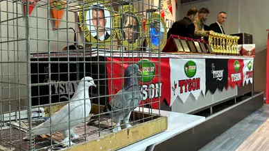 Oyun kuşları hünerlerini Gölcük'te sergiledi