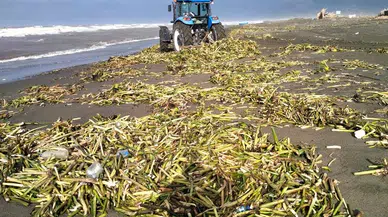 Hatay'ın deniz ve sahilleri Büyükşehir'le temizleniyor