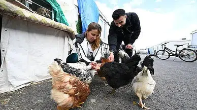 Hayvan sevgisini konteyner kente taşıdılar