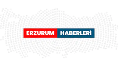 Erzurum'da tırla yayaya çarparak ölümüne neden olan sürücünün yargılanmasına devam edildi