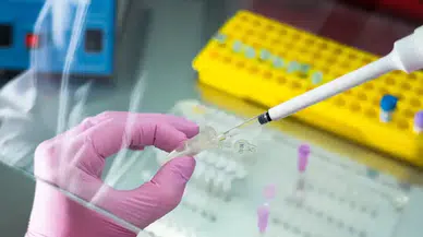 Kabus koronavirüs gibi yayılır mı? Yetkililer açıkladı: Alaskapox'tan ilk ölüm gerçekleşti!