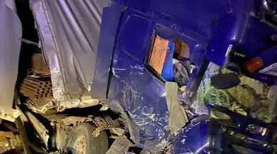 Artvin'de heyelan; kaya parçalarının isabet ettiği TIR, devrildi