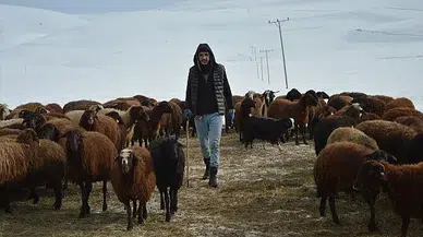 Erzurum'da besicilerin yüzleri güldü