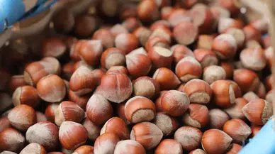 Trabzon'da 30 yıldan bu yana böyle bir şey görülmedi... Vatandaşlar büyük bir panik yaptı. Türkiye'ye Trabzon'dan kara haber yayıldı