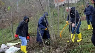 ‘Fındık bahçeleri ve üreticiler yaşlanıyor’