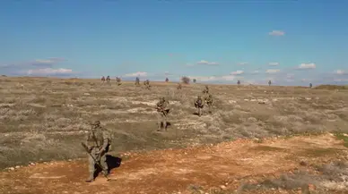 Milli Savunma Bakanlığı, komandoların yarışmasından görüntüler paylaştı