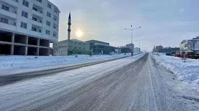 Erzurum, Ağrı, Kars, Ardahan ve Tunceli'de dondurucu soğuklar etkisini sürdürüyor