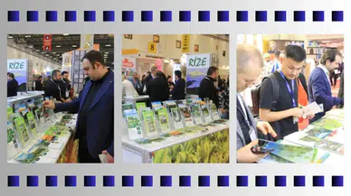 Rize, 2024 İstanbul Emıtt Fuarında Yerini Aldı