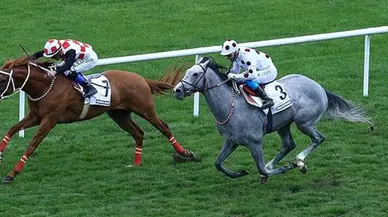 8 Şubat Perşembe İzmir At Yarışı Tahminleri!