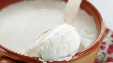 Köylülerin gizli sırrı: Mükemmel Kanlıca Yoğurdu nasıl yapılır?