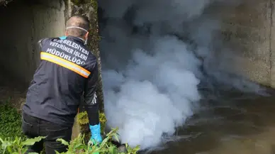 Rize Belediyesi sivrisinek mücadelesine şimdiden başladı
