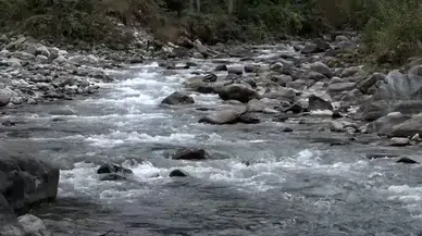 Türkiye’nin en fazla yağış alan ili Rize’de su kaynakları baskı altında