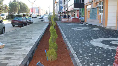 "Gülbahar Hatun Caddesi Peyzaj Projesi Vakfıkebir'de Tamamlanmak Üzere: Belediye Başkanı Balta'dan Açıklama"